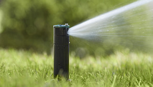 Why New Entrepreneurs Need To Invest on Sprinkler Systems