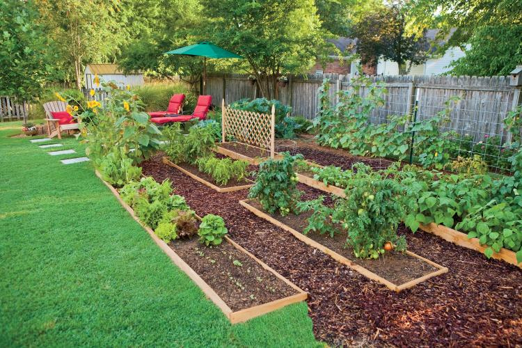 8 Impressive Ways to Growing more in Your Garden Space - Edible landescaping.jpg