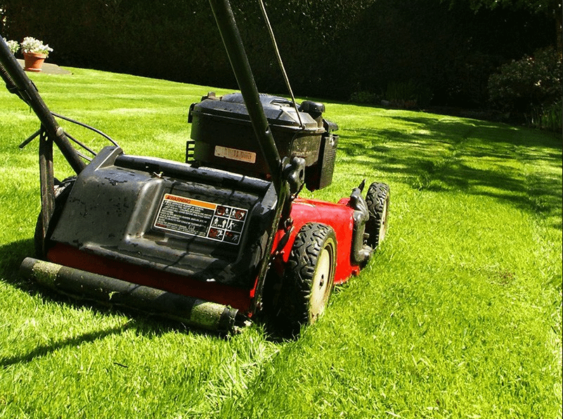 lawn cutter
