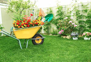 Top 10 Tips to Stay Fit by Home Gardening