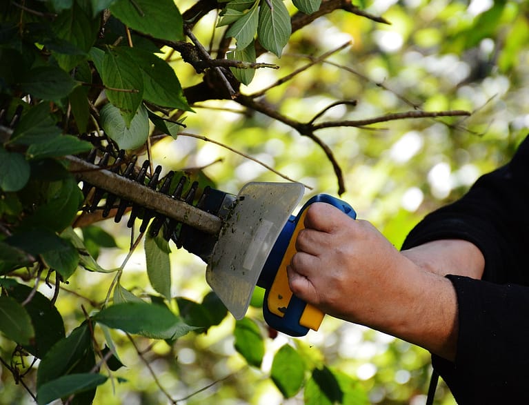 4 Little Tricks to Achieve the Best Results in String Trimmer